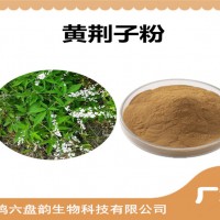 黄荆子速溶粉 黄荆子粉 水溶性好 生产厂家