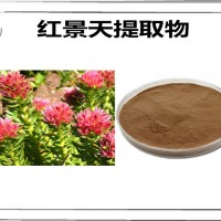 红景天提取物 红景天粉 植物提取物厂家