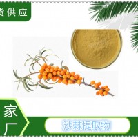 沙棘提取物厂家供应沙棘黄酮