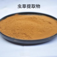 虫草提取物 虫草多糖 速溶虫草粉 斯诺特厂家供应