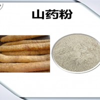 山药浓缩粉 山药粉 生产厂家
