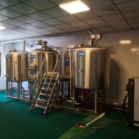 300 500升啤酒设备 德国进口精酿啤酒设备 自酿啤酒设备
