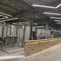 山东精酿啤酒设备 德国进口精酿啤酒设备 乐山啤酒设备