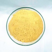 人参提取物 人参粉 速溶食品原料 药食同源