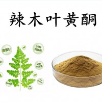 辣木叶黄酮 辣木籽提取物 辣木叶提取物 规格多 可定制生产