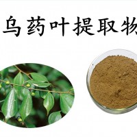 乌药叶提取物 乌药叶粉 斯诺特自有工厂 质量稳定 可代工