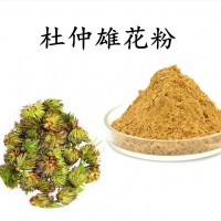 杜仲雄花粉 杜仲提取物 多糖 斯诺特工厂生产 可试样