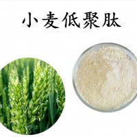 小麦低聚肽 小麦提取物 富硒小麦粉 斯诺特工厂规格可定制