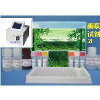 泛酸定量检测试剂盒96孔微生物法