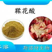 鞣花酸 石榴皮提取物 水溶喷雾干燥粉末 质量稳定 可试样