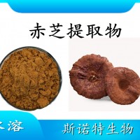 赤芝提取物 水溶性喷雾干燥粉 斯诺特工厂生产 可提供小样