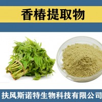 香椿提取物 水溶性香椿粉 香椿速溶粉