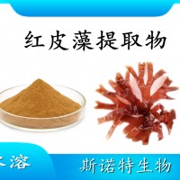 红皮藻提取物 水溶喷雾干燥粉末 质量稳定 可试样