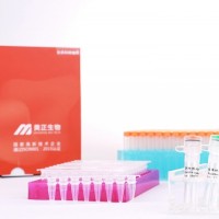 肉毒梭菌/生孢梭菌核酸检测试剂盒（PCR-探针法）