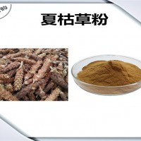 夏枯草浓缩粉 夏枯草粉 生产厂家