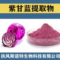 紫甘蓝提取物 水溶性紫甘蓝粉 紫甘蓝速溶粉