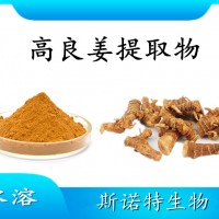 高良姜提取物 水溶性喷雾干燥粉 斯诺特工厂生产 可提供小样
