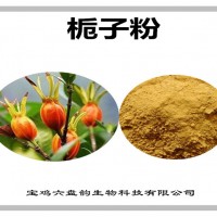 栀子浓缩粉 栀子粉 生产厂家
