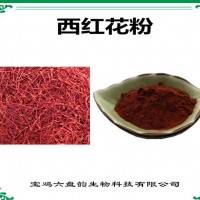 西红花浓缩粉 西红花粉 生产厂家