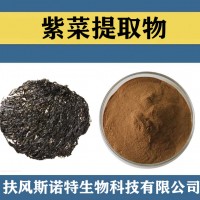 紫菜提取物 水溶性紫菜粉 紫菜速溶粉