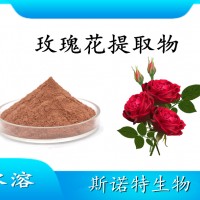 玫瑰花提取物 水溶性喷雾干燥粉 斯诺特工厂生产 可提供小样