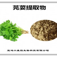 芫荽提取物 芫荽粉 药食同源 比例提取 可定制生产
