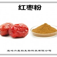 红枣浓缩粉 红枣粉 生产厂家
