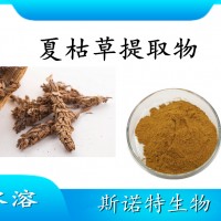 夏枯草提取物 水溶性喷雾干燥粉 斯诺特工厂生产 可提供小样