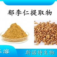 莱菔子提取物 水溶性喷雾干燥粉 斯诺特工厂生产 可提供小样