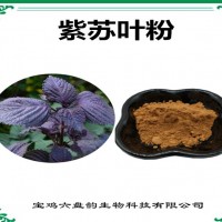 紫苏叶浓缩粉 紫苏叶粉 生产厂家