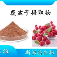 覆盆子提取物 水溶性喷雾干燥粉 斯诺特工厂生产 可提供小样