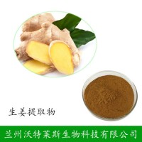 生姜 植物提取物 姜辣素 生姜提取物供应