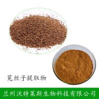 菟丝子提取物  菟丝子提取物10:1厂家 菟丝子提取物