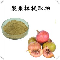 聚果榕提取物 全水溶粉末 斯诺特工厂生产 1kg起订 包邮