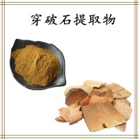 穿破石提取物 全水溶喷雾干燥粉 比例浓缩提取 自有工厂