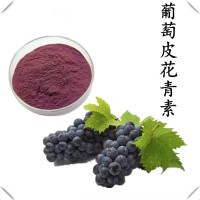 葡萄皮花青素 全水溶葡萄皮提取物粉 葡萄皮多酚 斯诺特工厂