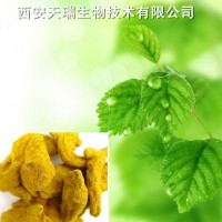 姜黄提取物厂家