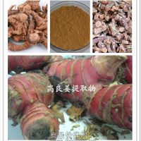高良姜提取物销售