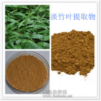 淡竹叶粉 淡竹叶提取物厂家