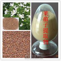 莱菔子粉 莱菔子提取物价格