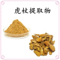 虎杖提取物 全水溶粉末 斯诺特工厂生产 现货包邮