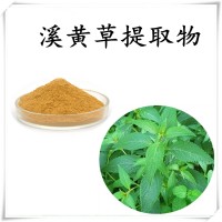溪黄草提取物 全水溶粉末 斯诺特工厂生产 现货包邮