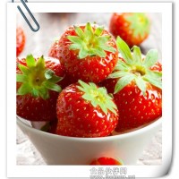 草莓粉 食品饮料添加  纯果粉