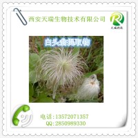 白头翁提取物价格