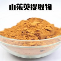 山茱萸提取物 水溶山茱萸粉 食品级原料 定制超微粉