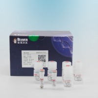 BeaverBeads抗体纯化磁珠1ml 20102