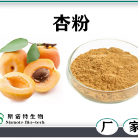 杏粉 杏速溶粉 喷雾干燥 水溶性杏浓缩粉