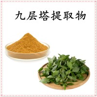 九层塔提取物 全水溶喷雾干燥粉 斯诺特工厂 库存充足 可试样