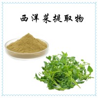 西洋菜提取物 全水溶喷雾干燥粉 斯诺特工厂 库存充足 可试样