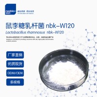 鼠李糖乳杆菌nbk-W120活菌灭活益生菌 抗过敏抵抗力供应